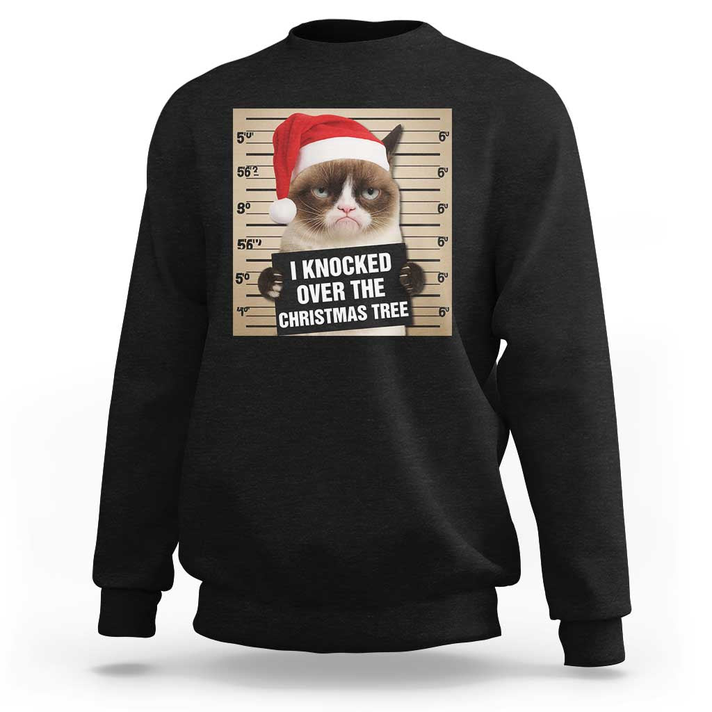 Funny Cat Mugshot Christmas Sweatshirt I Will Protect You Kitten No Matter What - Wonder Print Shop
