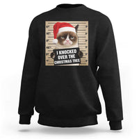 Funny Cat Mugshot Christmas Sweatshirt I Will Protect You Kitten No Matter What - Wonder Print Shop