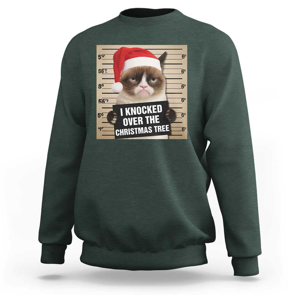 Funny Cat Mugshot Christmas Sweatshirt I Will Protect You Kitten No Matter What - Wonder Print Shop