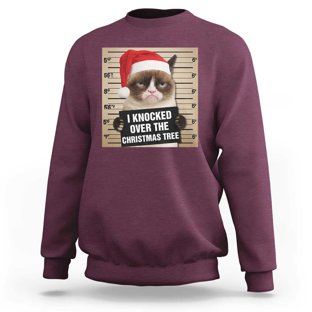 Funny Cat Mugshot Christmas Sweatshirt I Will Protect You Kitten No Matter What - Wonder Print Shop