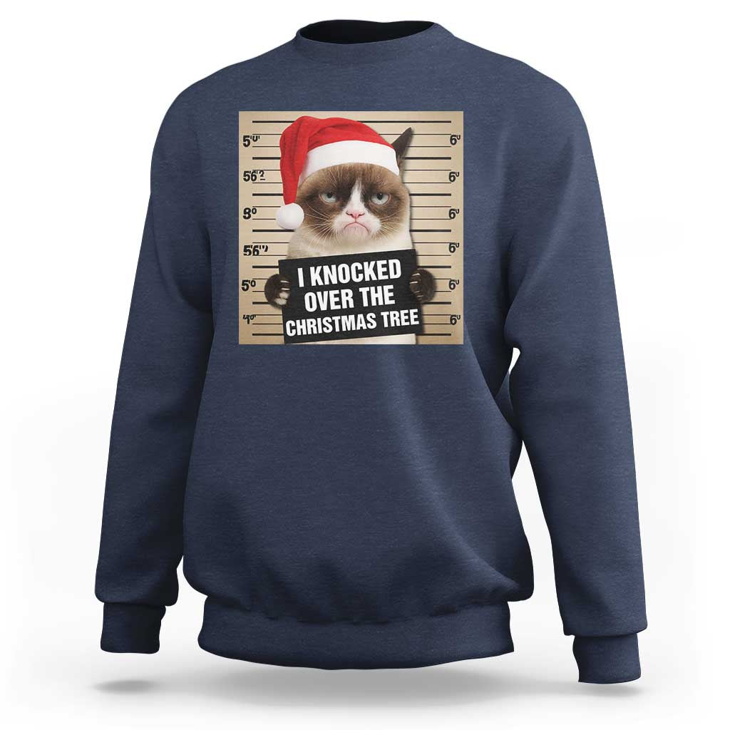 Funny Cat Mugshot Christmas Sweatshirt I Will Protect You Kitten No Matter What - Wonder Print Shop