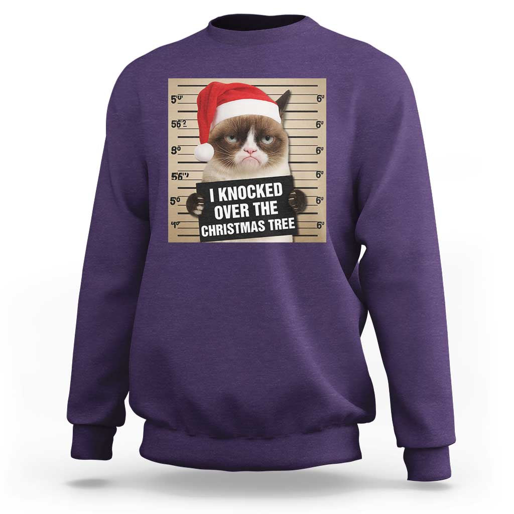 Funny Cat Mugshot Christmas Sweatshirt I Will Protect You Kitten No Matter What - Wonder Print Shop