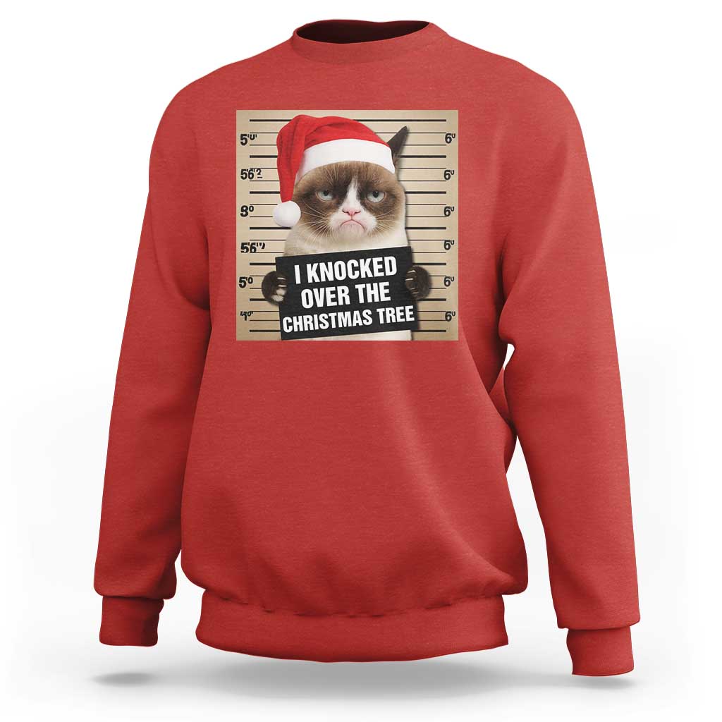 Funny Cat Mugshot Christmas Sweatshirt I Will Protect You Kitten No Matter What - Wonder Print Shop