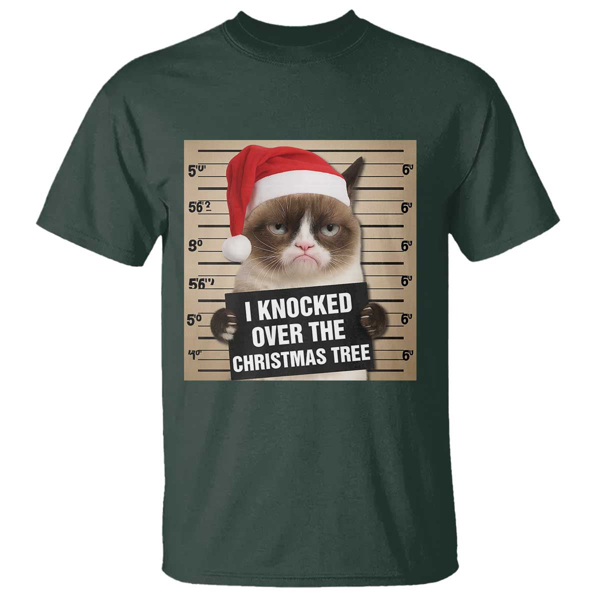 Funny Cat Mugshot Christmas T Shirt I Will Protect You Kitten No Matter What - Wonder Print Shop
