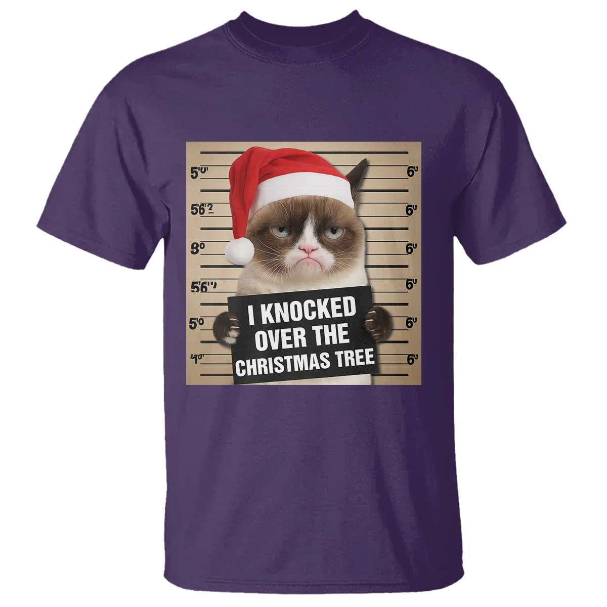 Funny Cat Mugshot Christmas T Shirt I Will Protect You Kitten No Matter What - Wonder Print Shop