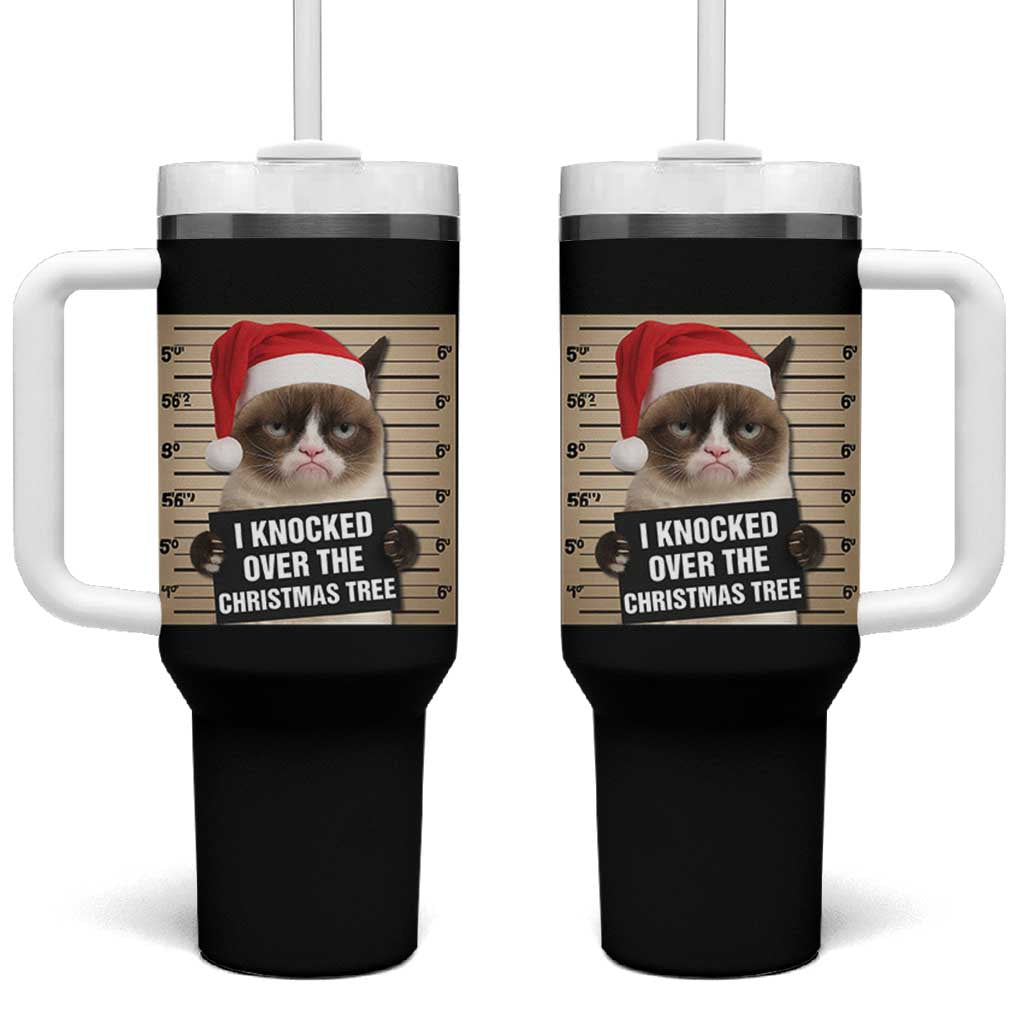 Funny Cat Mugshot Christmas Tumbler With Handle I Will Protect You Kitten No Matter What - Wonder Print Shop