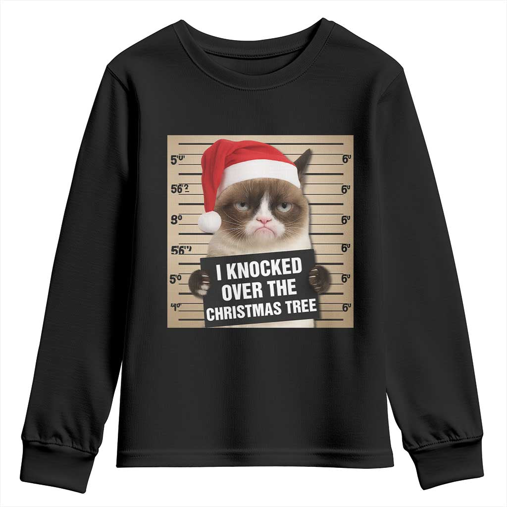 Funny Cat Mugshot Christmas Youth Sweatshirt I Will Protect You Kitten No Matter What - Wonder Print Shop