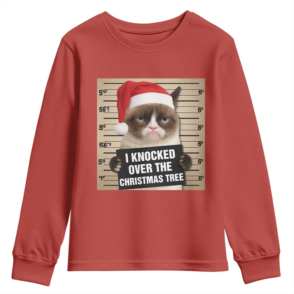Funny Cat Mugshot Christmas Youth Sweatshirt I Will Protect You Kitten No Matter What - Wonder Print Shop