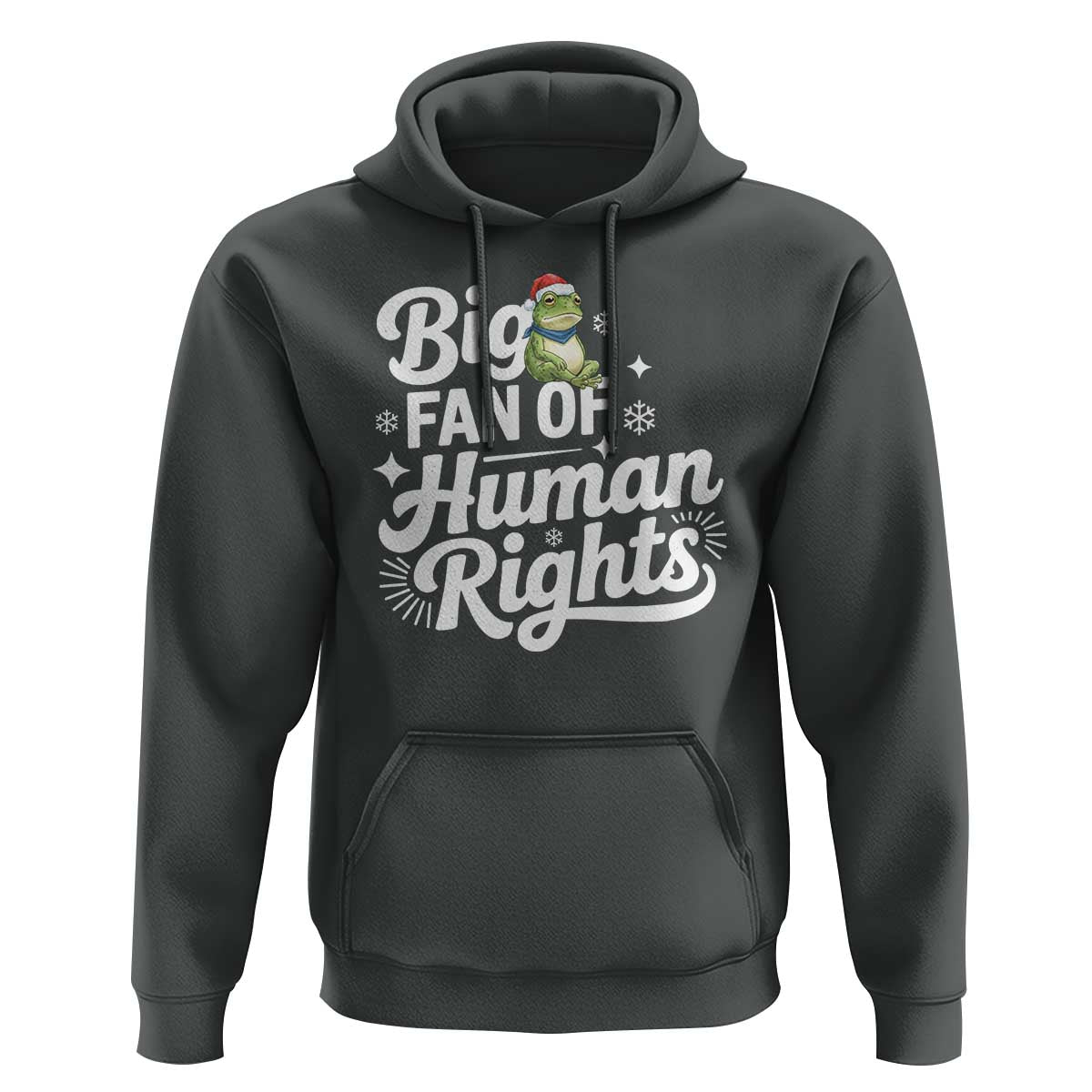 Resist Frog Christmas Hoodie Big Fan Of Human Rights Political Meme - Wonder Print Shop