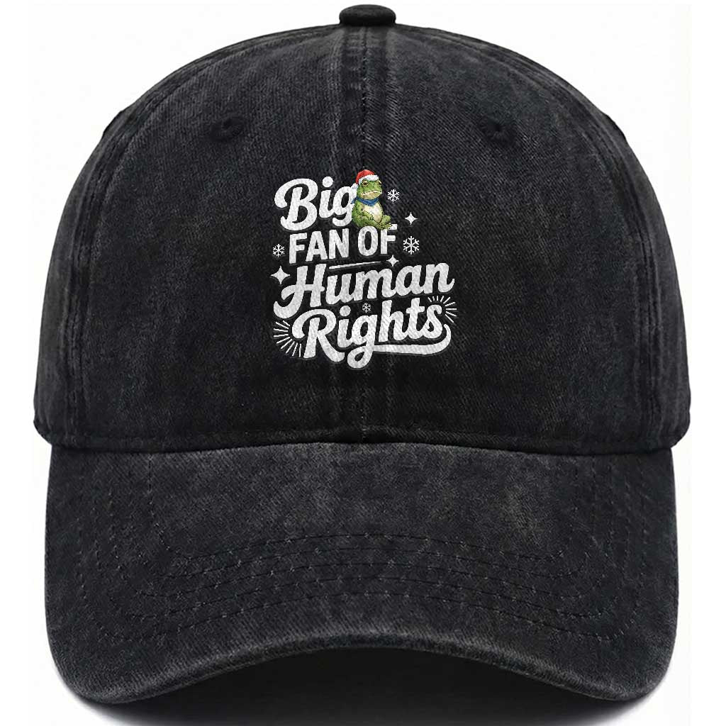 Resist Frog Christmas Washed Cotton Baseball Cap Big Fan Of Human Rights Political Meme