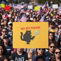 No Ice Please Protest Sign Funny Black Cat Abolish ICE Meme Protest