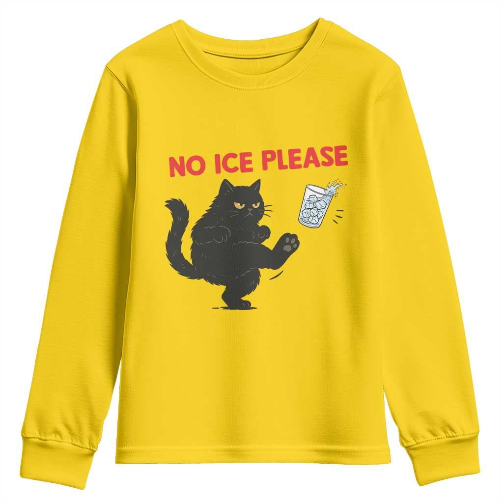 No Ice Please Youth Sweatshirt Funny Black Cat Abolish ICE Meme Protest