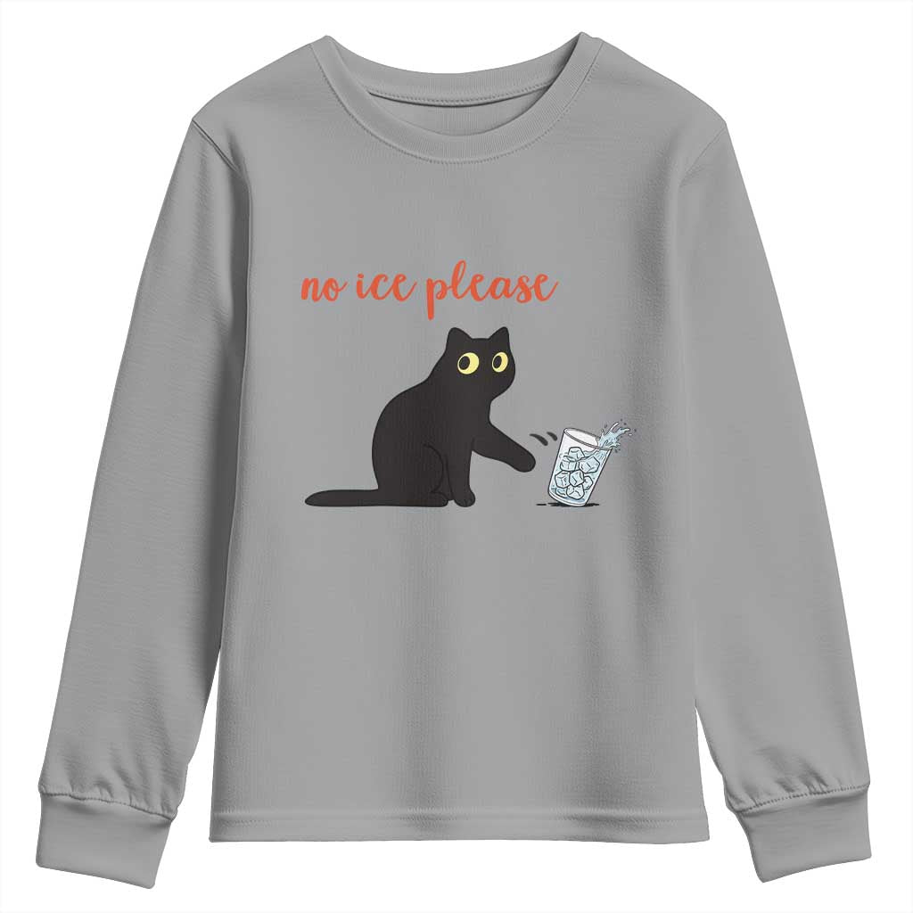 No Ice Please Youth Sweatshirt Funny Cat Abolish ICE Meme Protest