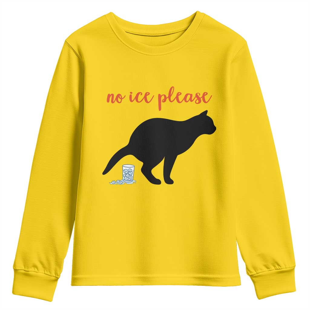 No Ice Please Youth Sweatshirt Funny Cat Abolish ICE Meme