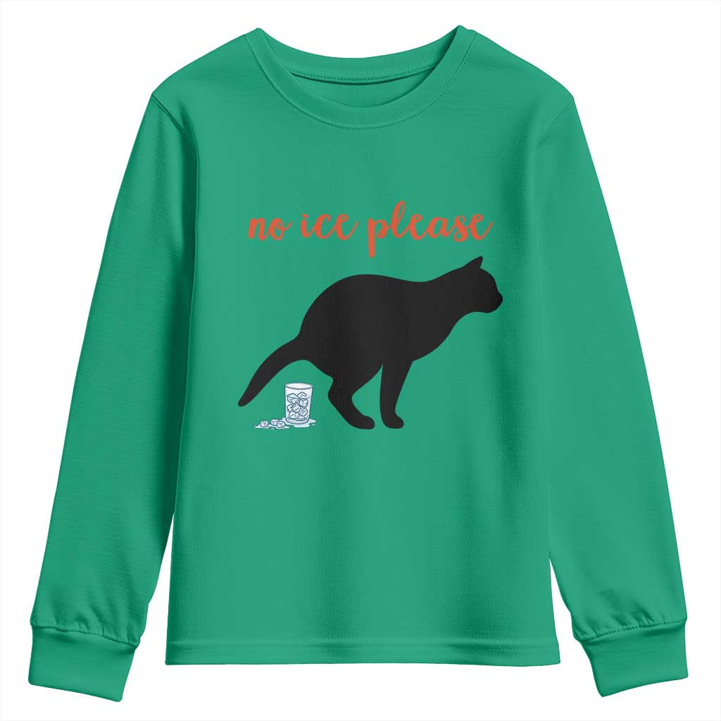 No Ice Please Youth Sweatshirt Funny Cat Abolish ICE Meme