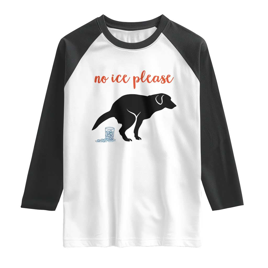 No Ice Please Raglan Shirt Funny Dog Anti ICE Meme