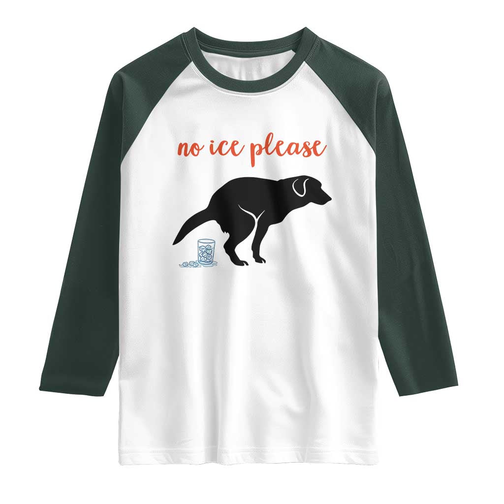 No Ice Please Raglan Shirt Funny Dog Anti ICE Meme
