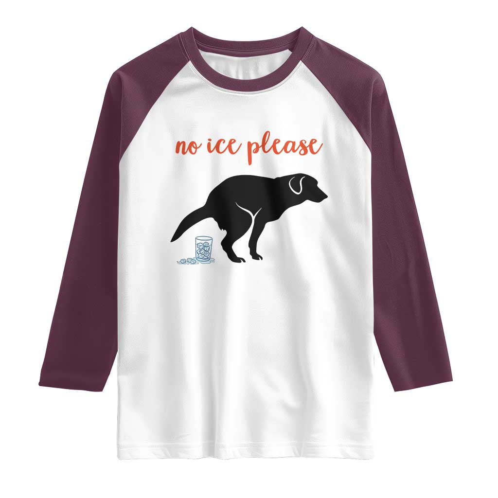 No Ice Please Raglan Shirt Funny Dog Anti ICE Meme