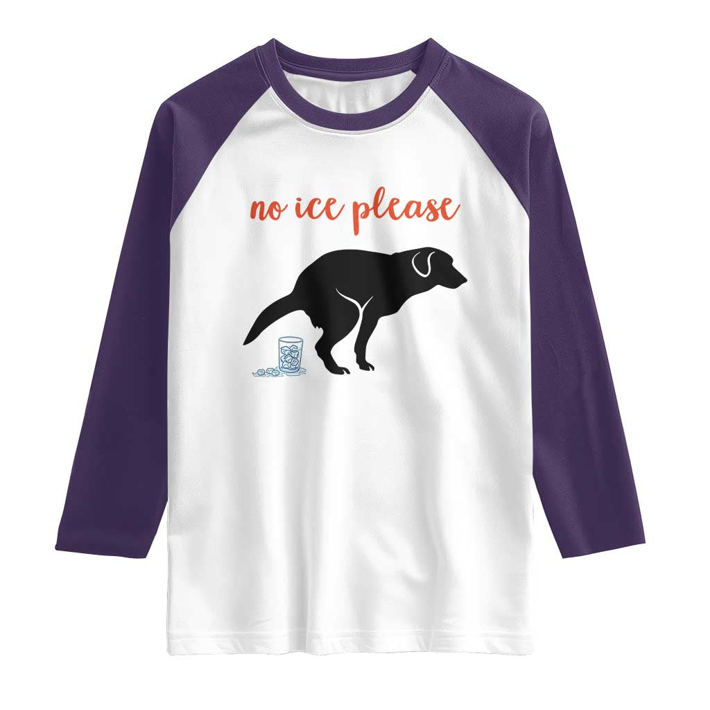 No Ice Please Raglan Shirt Funny Dog Anti ICE Meme