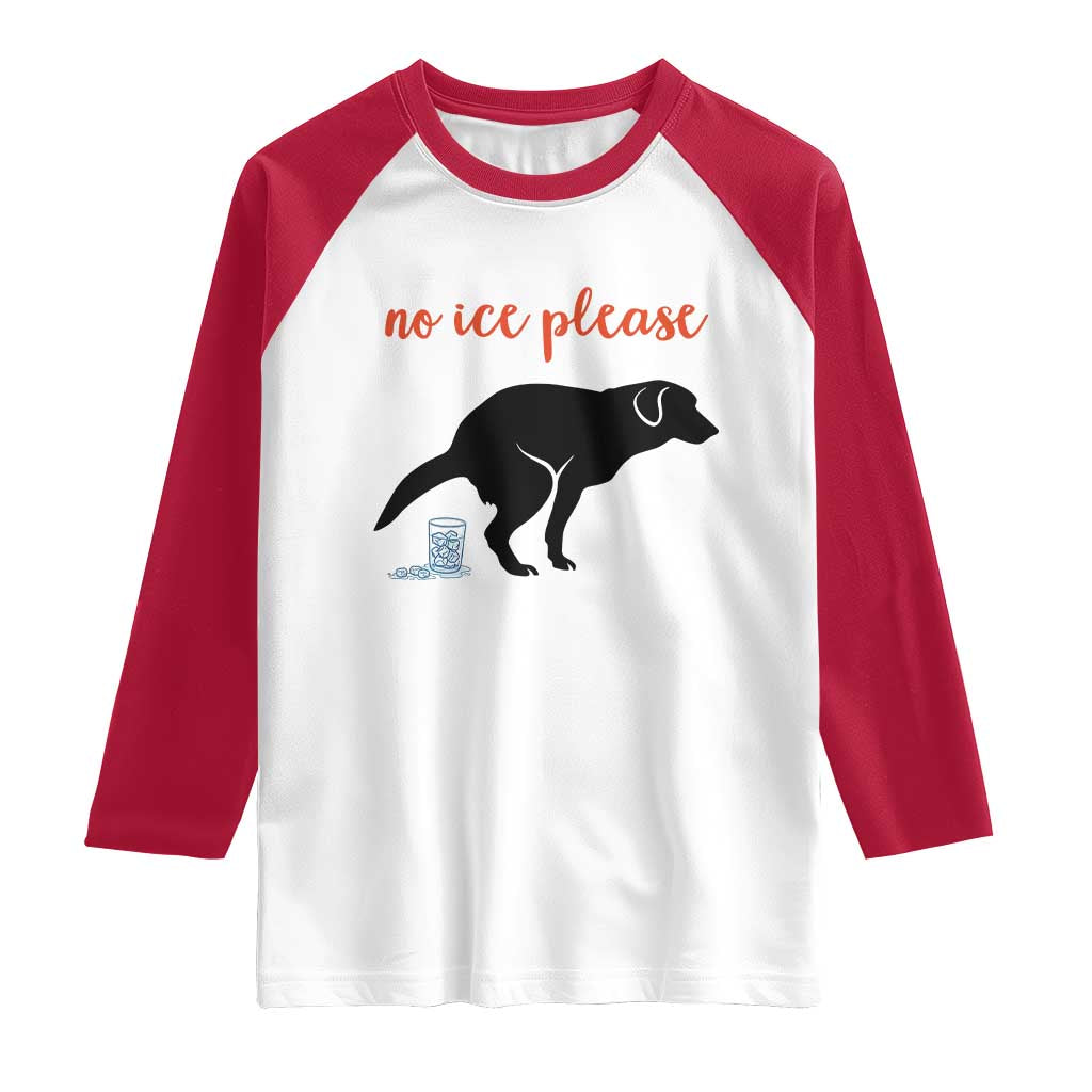 No Ice Please Raglan Shirt Funny Dog Anti ICE Meme
