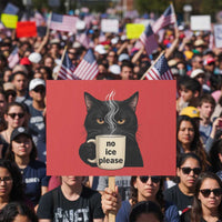 No Ice Please Protest Sign Funny Black Cat Anti ICE Meme