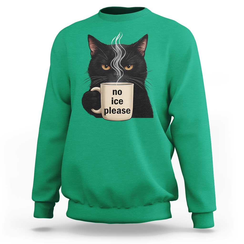 No Ice Please Sweatshirt Funny Black Cat Anti ICE Meme