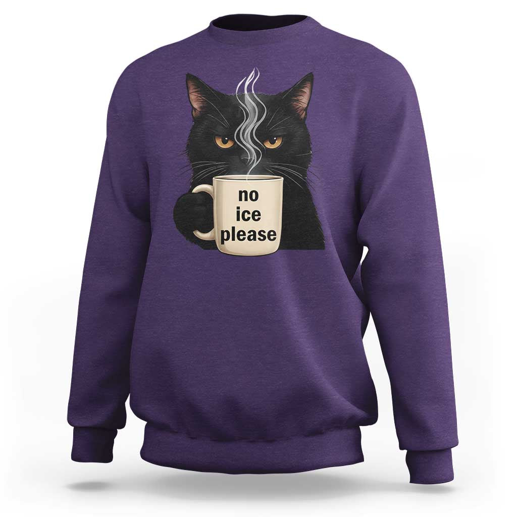 No Ice Please Sweatshirt Funny Black Cat Anti ICE Meme