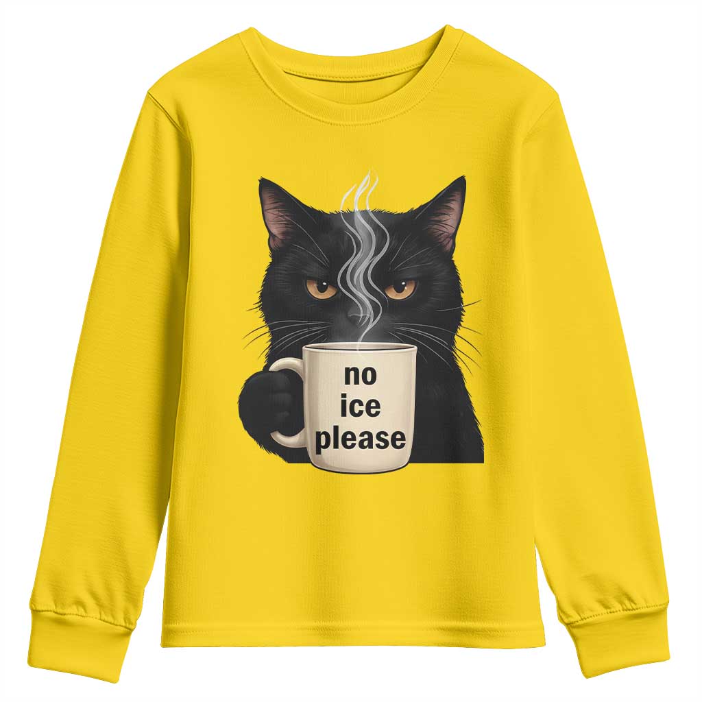 No Ice Please Youth Sweatshirt Funny Black Cat Anti ICE Meme