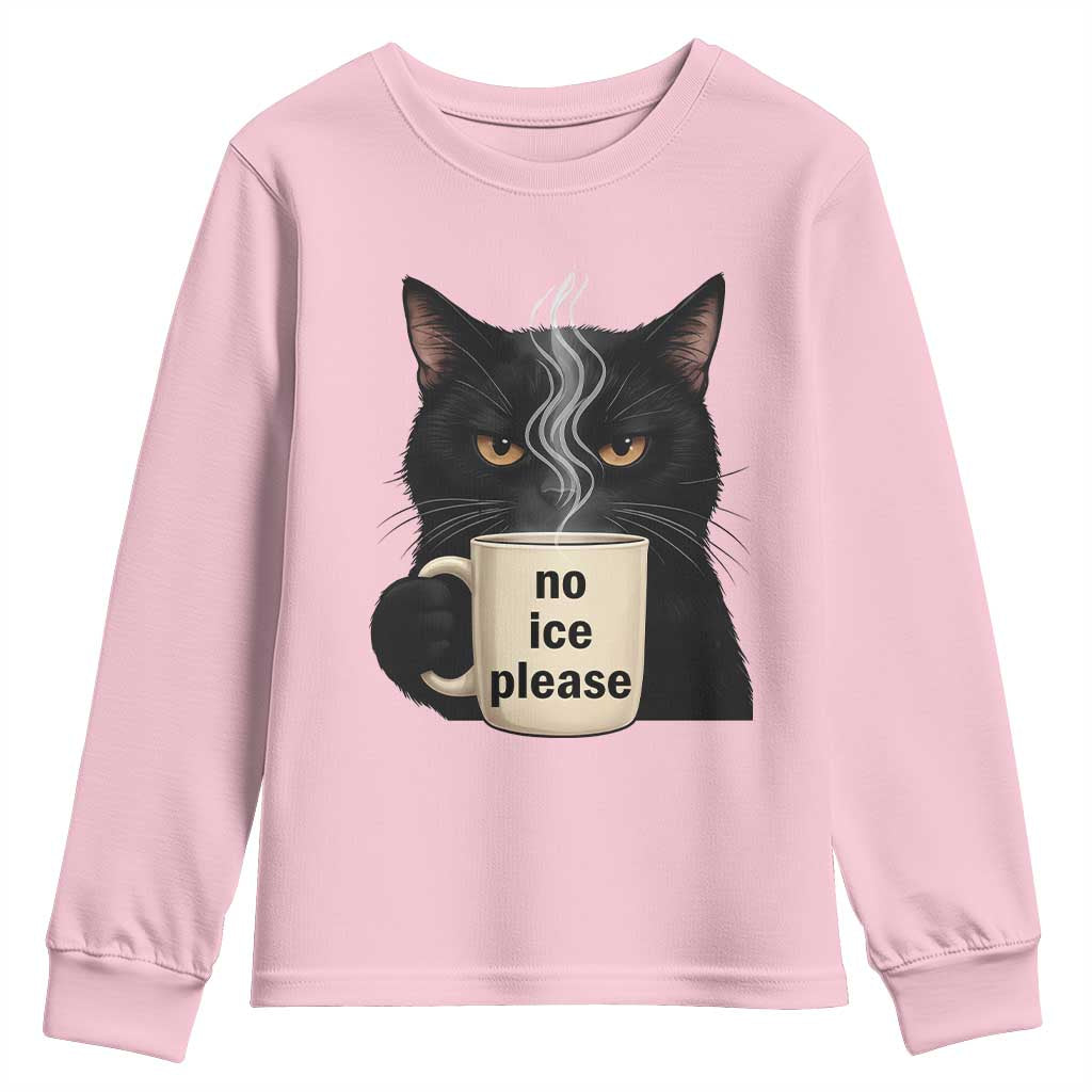 No Ice Please Youth Sweatshirt Funny Black Cat Anti ICE Meme