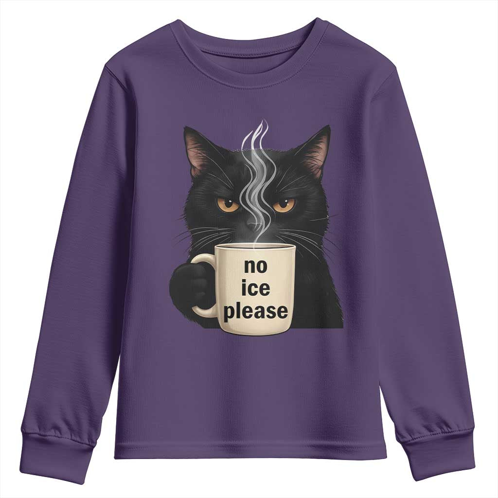 No Ice Please Youth Sweatshirt Funny Black Cat Anti ICE Meme