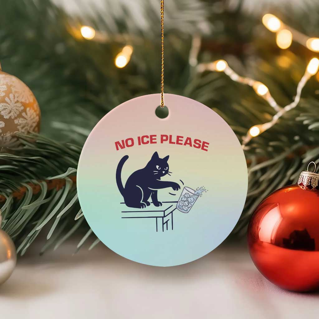 No Ice Please Ceramic Ornament Funny Cat Anti ICE Meme