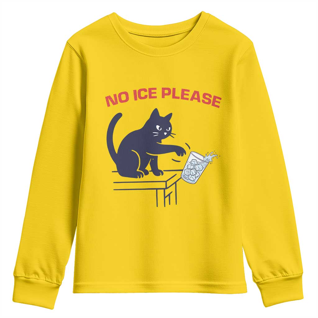 No Ice Please Youth Sweatshirt Funny Cat Anti ICE Meme