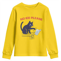 No Ice Please Youth Sweatshirt Funny Cat Anti ICE Meme