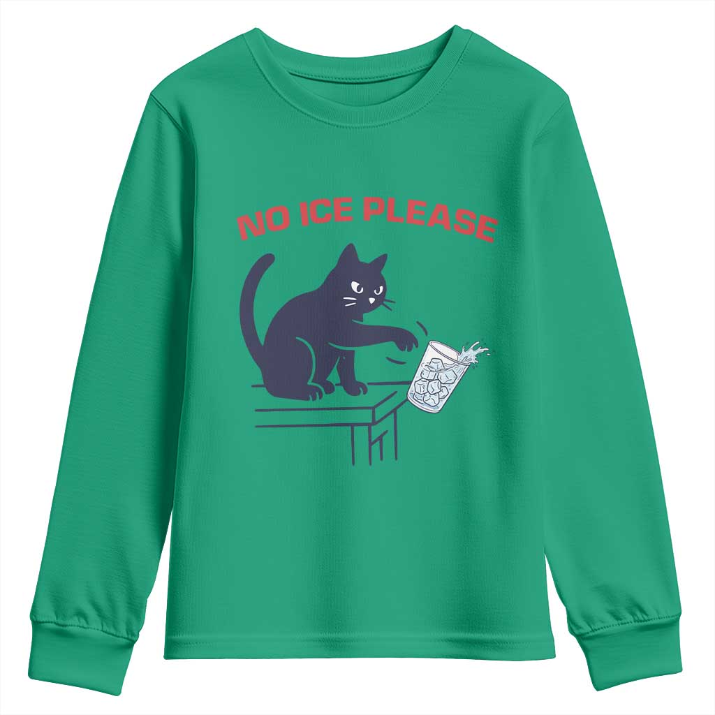No Ice Please Youth Sweatshirt Funny Cat Anti ICE Meme