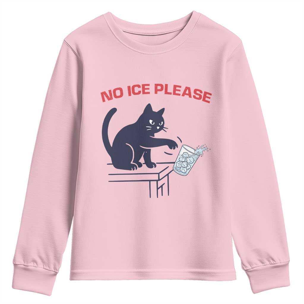 No Ice Please Youth Sweatshirt Funny Cat Anti ICE Meme