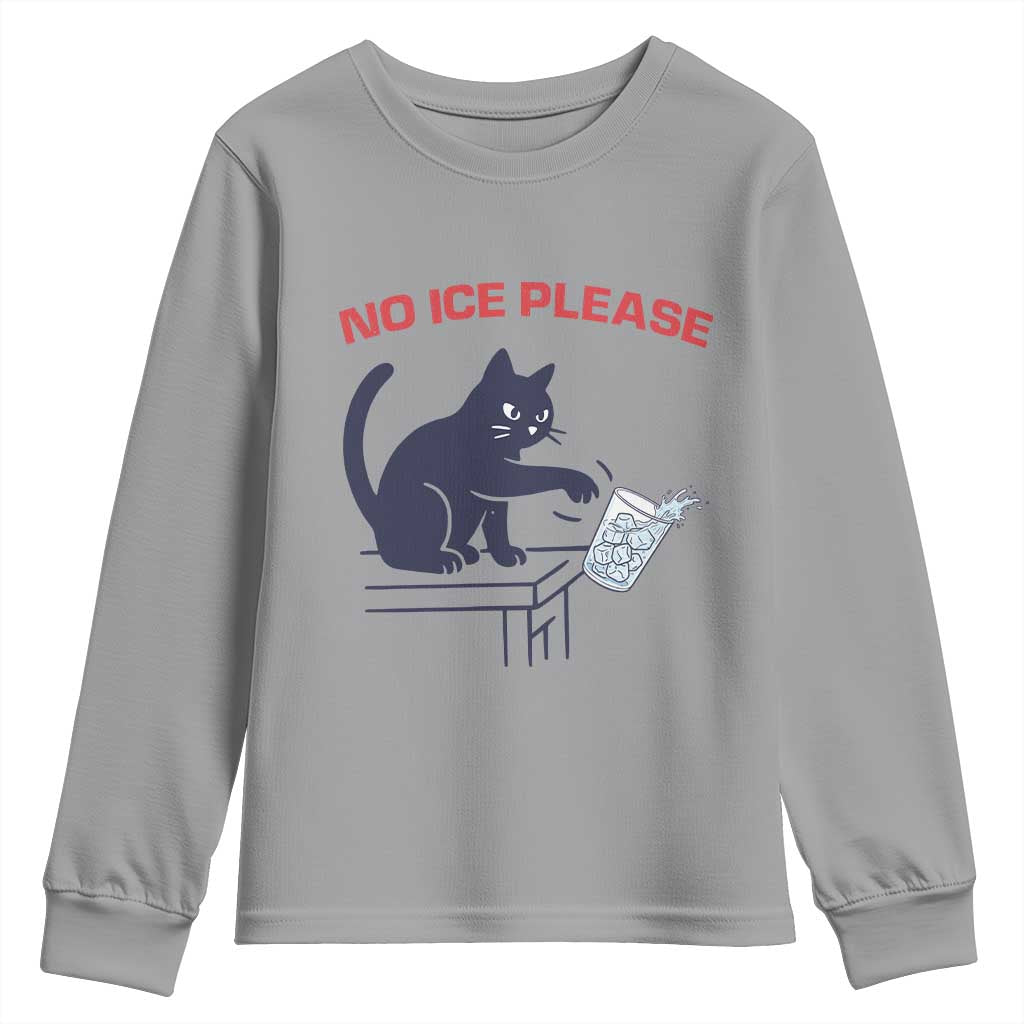 No Ice Please Youth Sweatshirt Funny Cat Anti ICE Meme