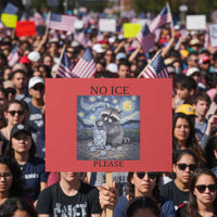 No Ice Please Protest Sign Starry Night Raccoon Trash Panda Anti ICE Meme