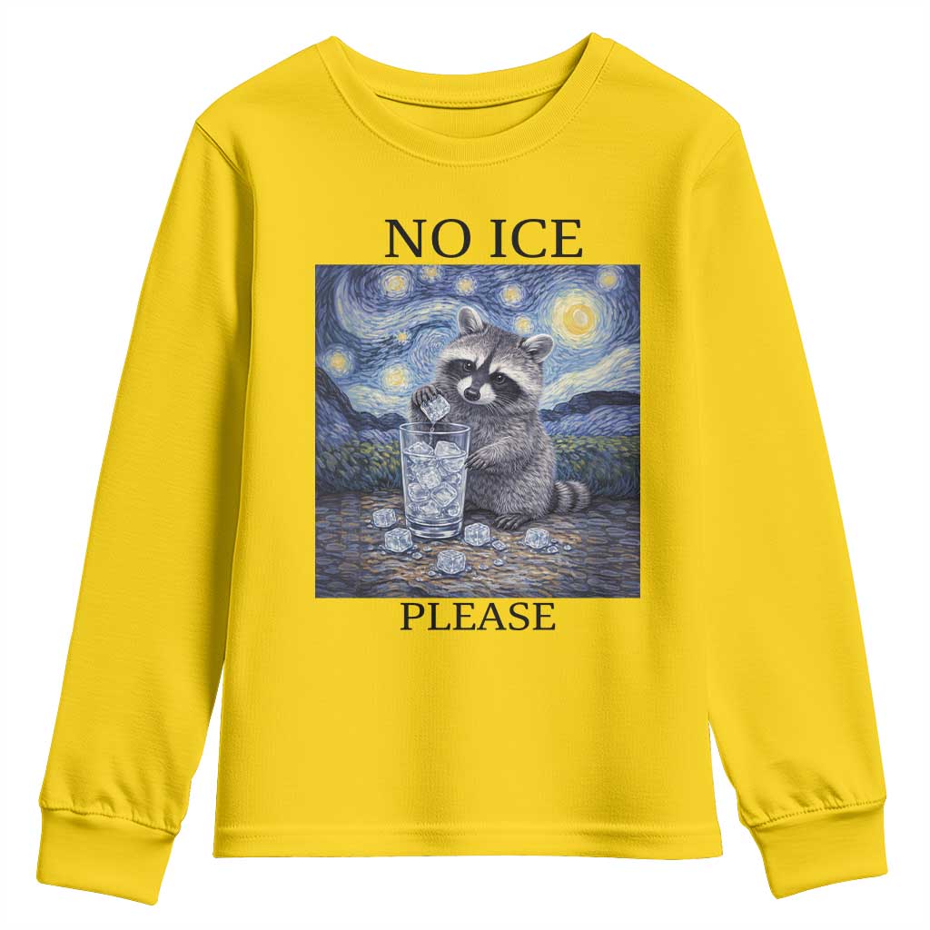 No Ice Please Youth Sweatshirt Starry Night Raccoon Trash Panda Anti ICE Meme