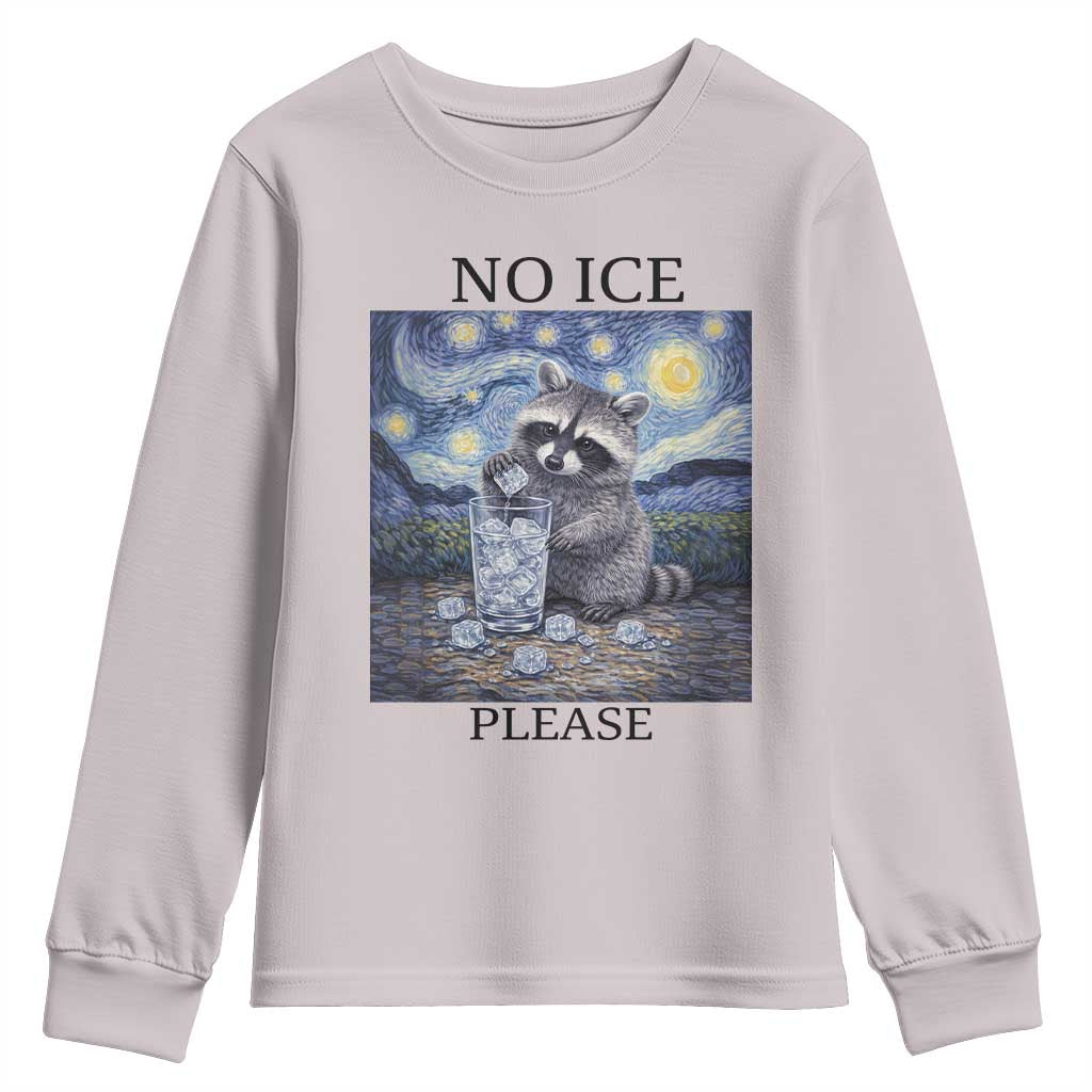 No Ice Please Youth Sweatshirt Starry Night Raccoon Trash Panda Anti ICE Meme