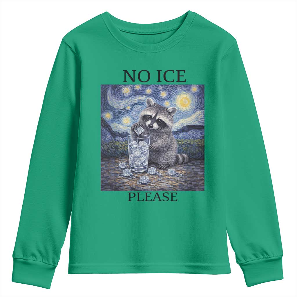 No Ice Please Youth Sweatshirt Starry Night Raccoon Trash Panda Anti ICE Meme