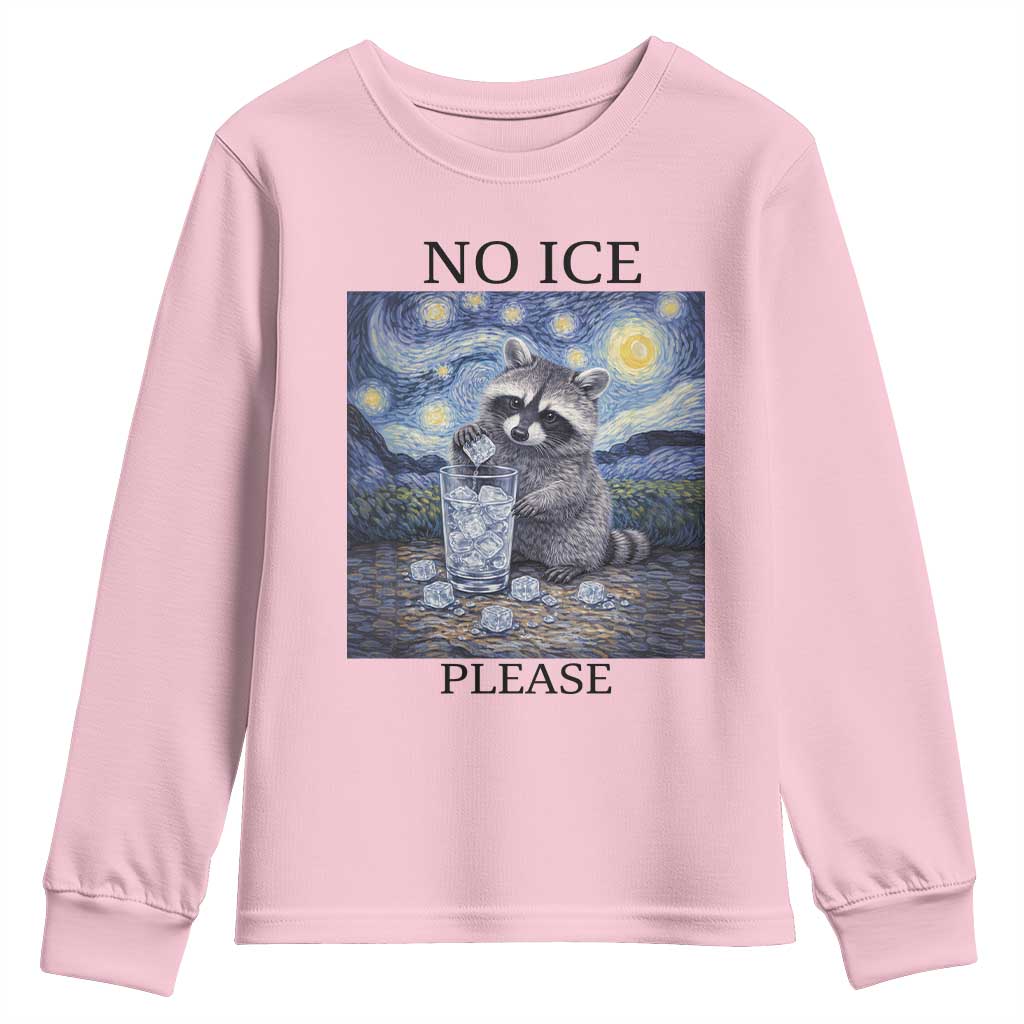 No Ice Please Youth Sweatshirt Starry Night Raccoon Trash Panda Anti ICE Meme