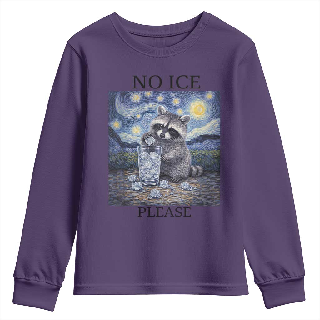 No Ice Please Youth Sweatshirt Starry Night Raccoon Trash Panda Anti ICE Meme