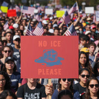 No Ice Please Protest Sign Funny Ice Cube Anti ICE Deportation Human Rights
