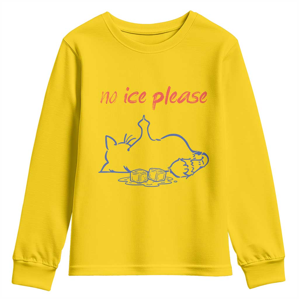 No Ice Please Youth Sweatshirt Funny Cat Anti ICE Deportation Human Rights
