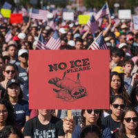 No Ice Please Protest Sign Funny Raccoon Anti ICE Deportation Human Rights