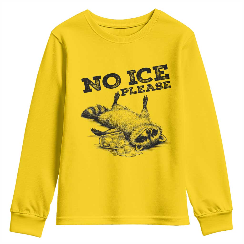 No Ice Please Youth Sweatshirt Funny Raccoon Anti ICE Deportation Human Rights