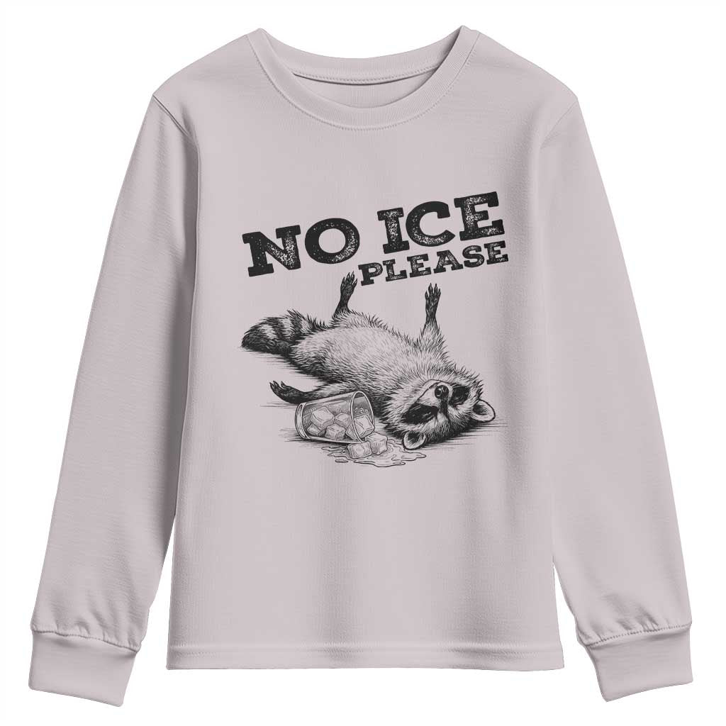 No Ice Please Youth Sweatshirt Funny Raccoon Anti ICE Deportation Human Rights