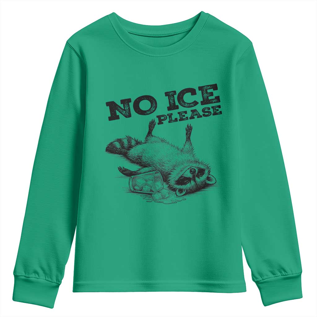 No Ice Please Youth Sweatshirt Funny Raccoon Anti ICE Deportation Human Rights
