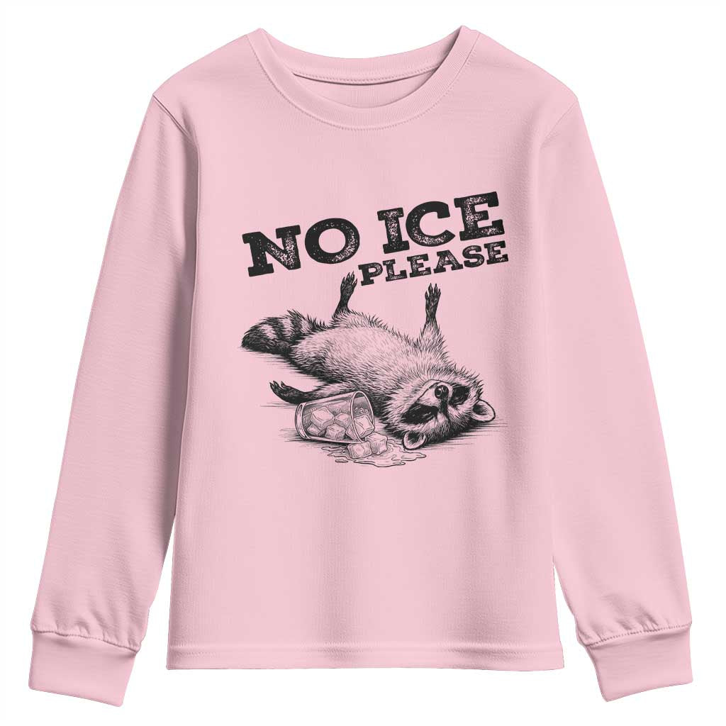No Ice Please Youth Sweatshirt Funny Raccoon Anti ICE Deportation Human Rights
