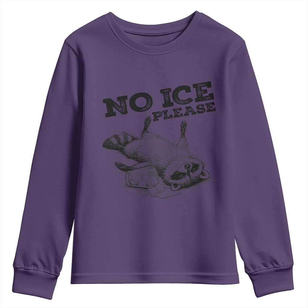 No Ice Please Youth Sweatshirt Funny Raccoon Anti ICE Deportation Human Rights